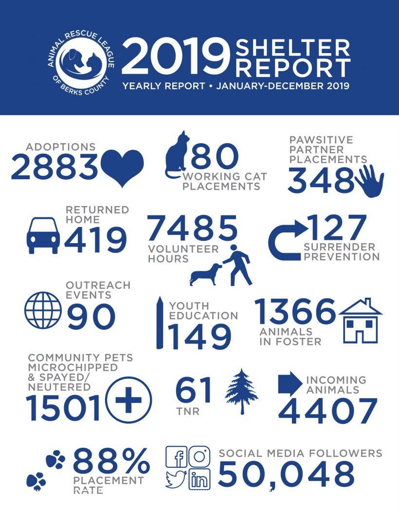 The ARL releases its Lifesaving and Shelter Report for 2019