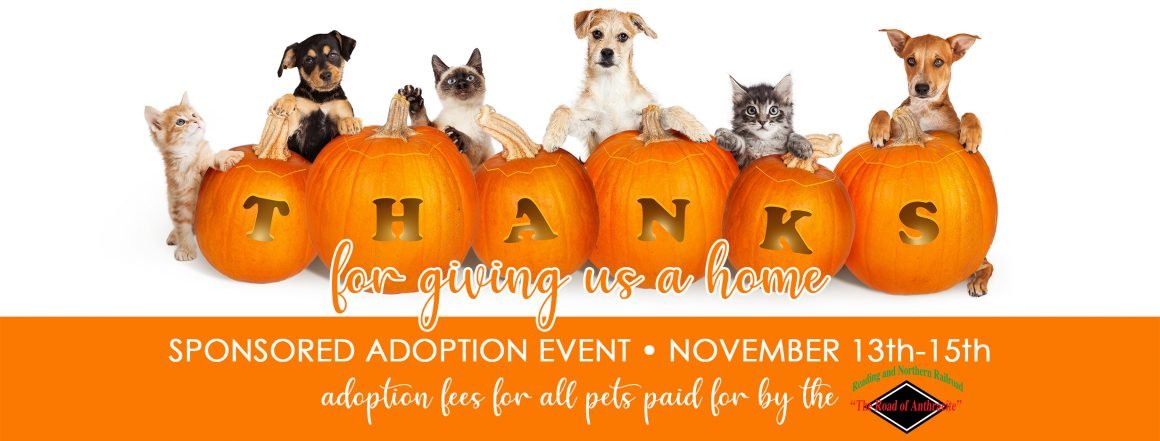 Give thanks! The Reading and Northern Railroad will sponsor the adoption fees of all pets November 13-15th