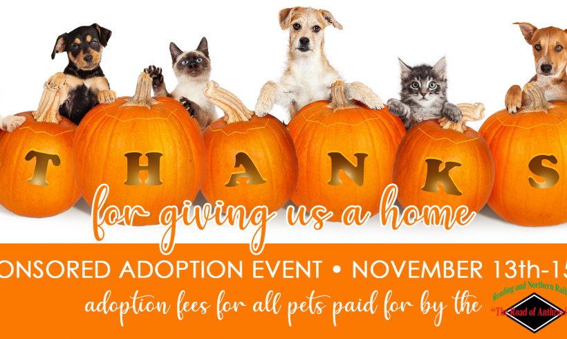 Give thanks! The Reading and Northern Railroad will sponsor the adoption fees of all pets November 13-15th