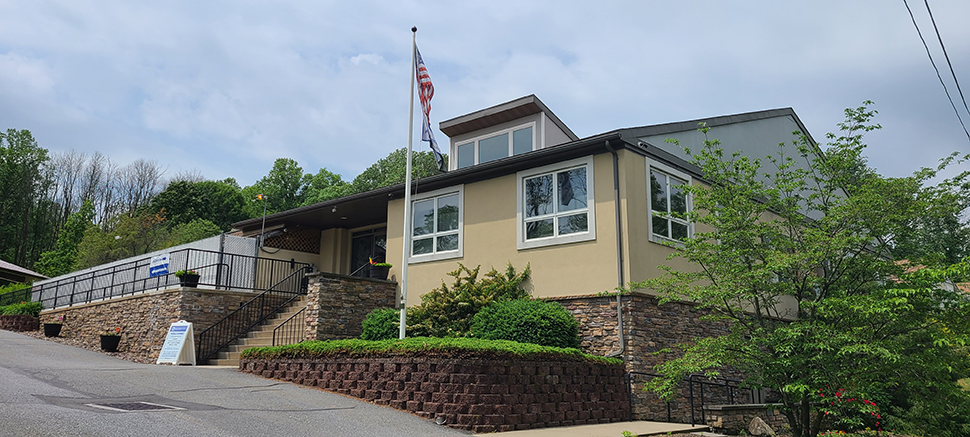 Official Statement Regarding Cats’ Euthanasia