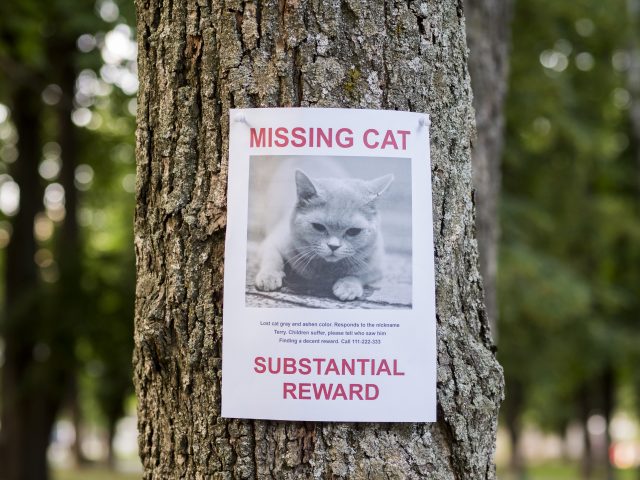 ARL and Humane PA join forces with Petco Love Lost to help reunite lost pets with their families