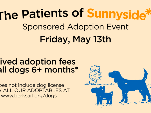 All dogs 6+ months will be free to adopt on Friday, May 13th thanks to the patients of Sunnyside