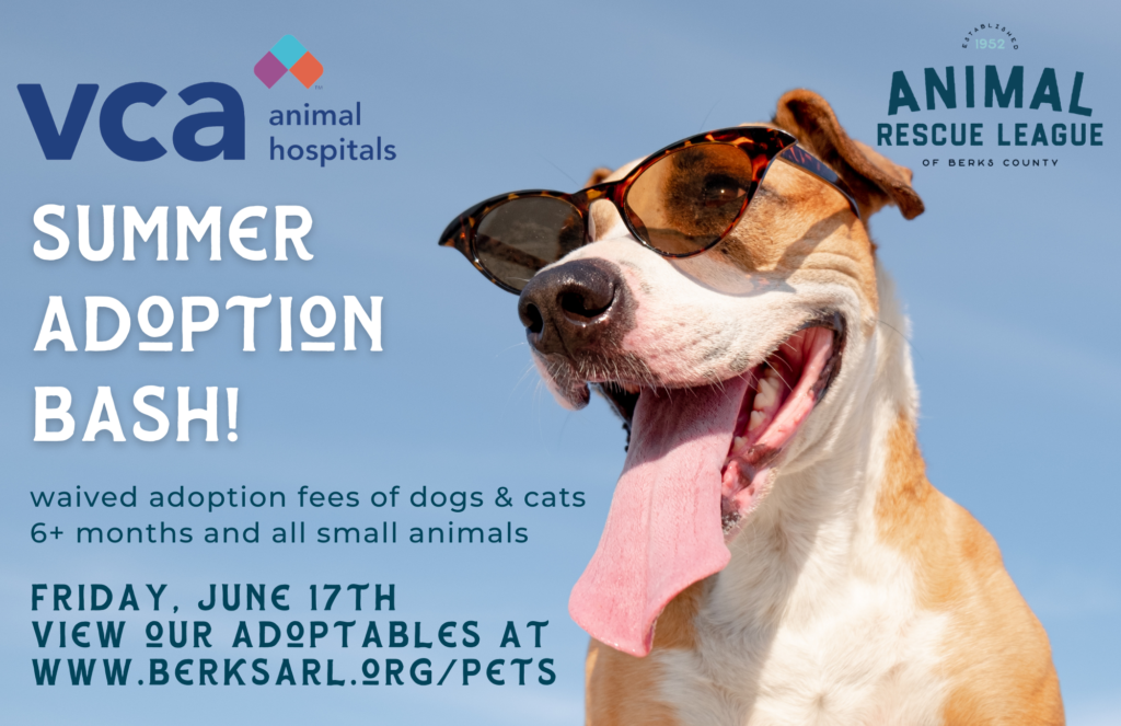 VCA Animal Hospital is sponsoring adoption fees for dogs and cats of 6+ months and small animals on Friday, June 17, 2022
