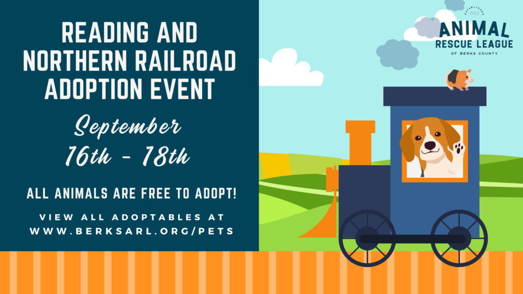 Birdsboro Family Dental Associates to sponsor adoption fees of cats and dogs 6+ months on Saturday, October 29th Birdsboro Family Dental Associates to sponsor adoption fees of cats and dogs 6+ months on Saturday, October 29th