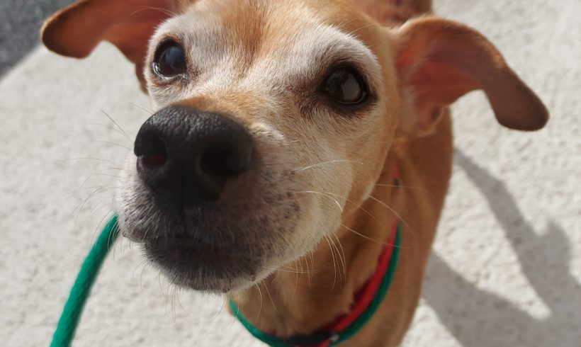 Get to know the lives we save: Meet Loyd