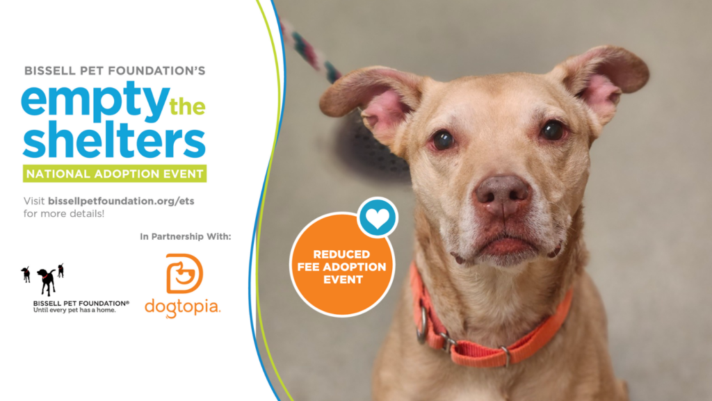 ANIMAL RESCUE LEAGUE TEAMS UP WITH BISSELL PET FOUNDATION AND DOGTOPIA TO “EMPTY THE SHELTERS!” 