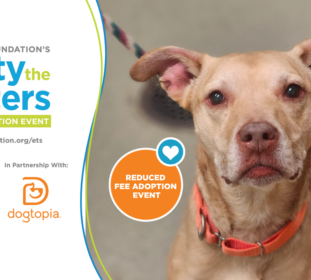 ANIMAL RESCUE LEAGUE TEAMS UP WITH BISSELL PET FOUNDATION AND DOGTOPIA TO “EMPTY THE SHELTERS!” 