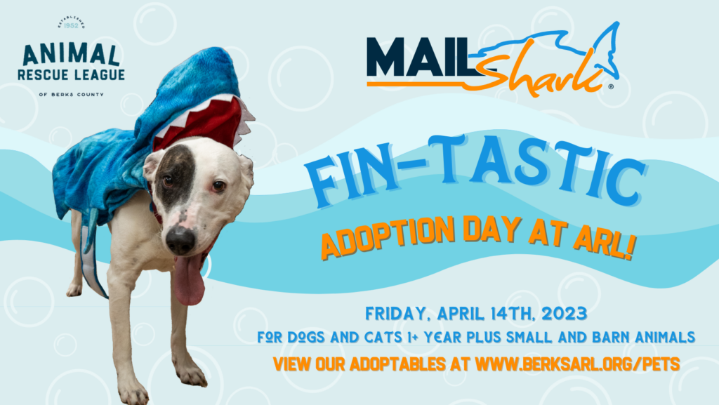 Local realtor to host free adoption day at the ARL