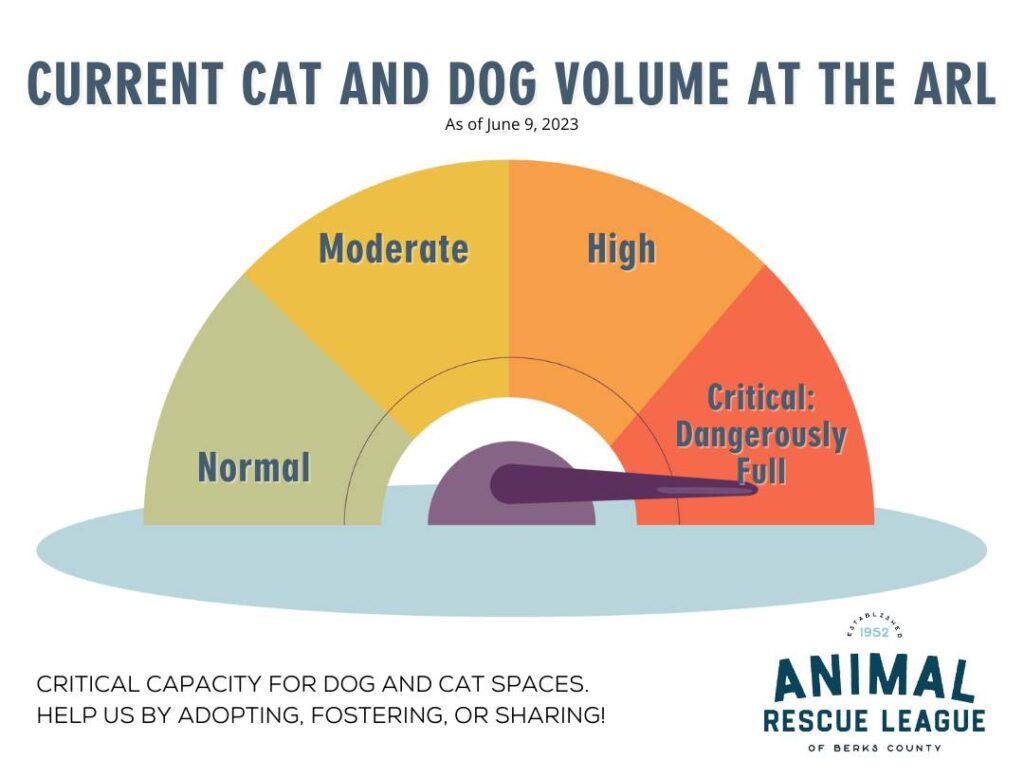 ARL is at full capacity