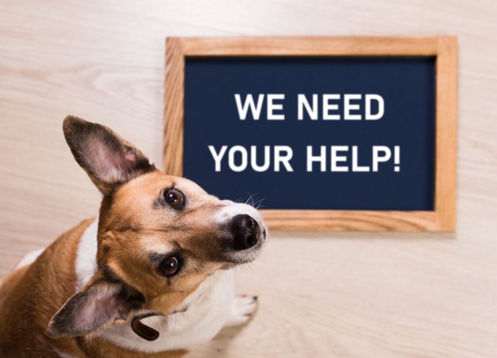 The ARL is in crisis. Here’s how you can help.