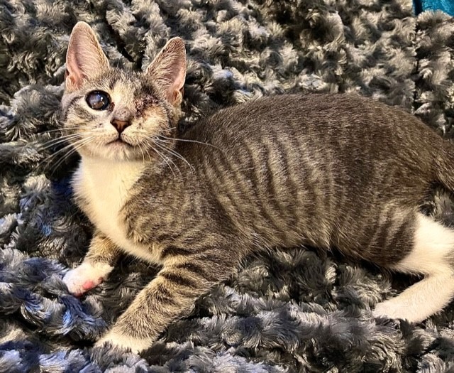 Get to know the lives we save: Meet Archie