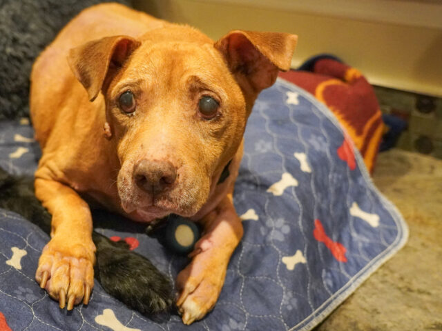 Get to know the Lives We Save: Meet Love