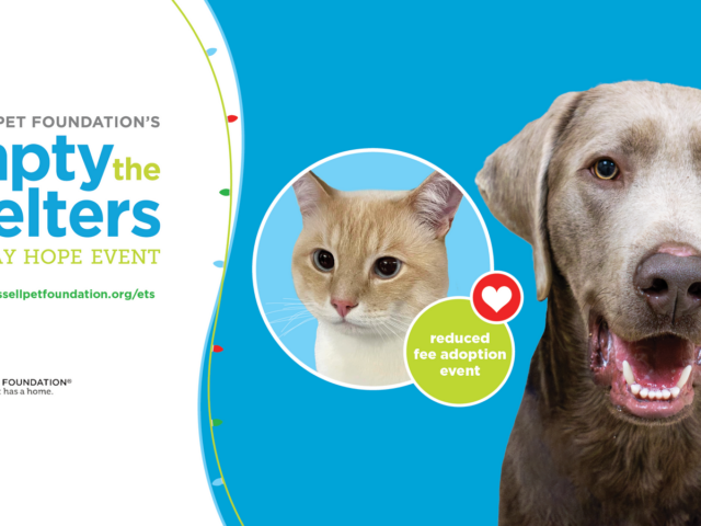 BISSELL Pet Foundation Partners With the Animal Rescue League to Brings Holiday Hope to Shelter Pets 