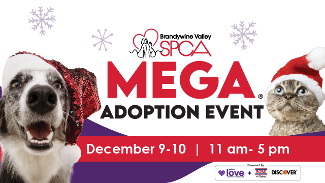 ARL to Participate in Brandywine Valley SPCA’s Mega Adoption Event to Find Hundreds of Dogs & Cats Homes for the Holidays 