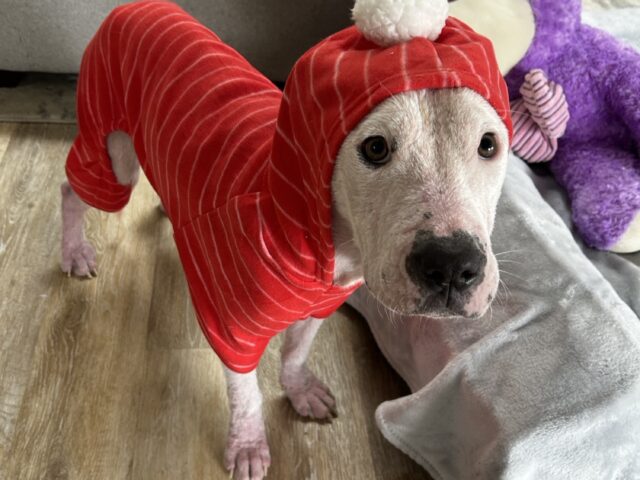 The Lives We Save: Meet Tilda