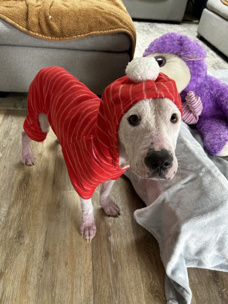 The Lives We Save: Meet Tilda