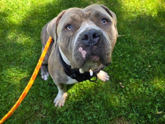 The Lives we save – Belle