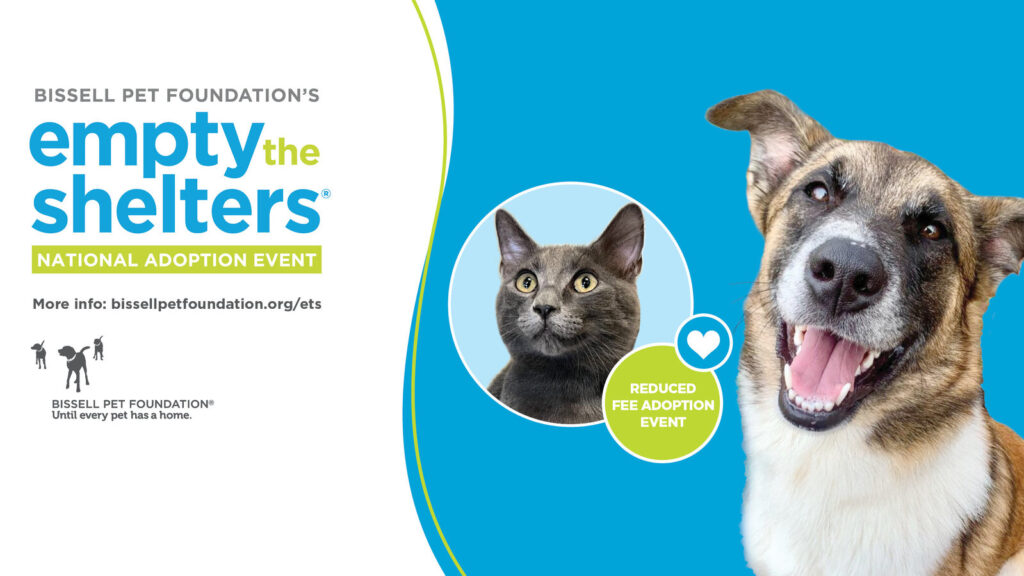 Animal Rescue League of Berks County Joins BISSELL Pet Foundation to Offer Reduced Adoption Fees During Spring Empty the Shelters Event