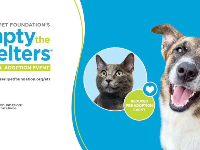 Animal Rescue League of Berks County Joins BISSELL Pet Foundation to Offer Reduced Adoption Fees During Spring Empty the Shelters Event