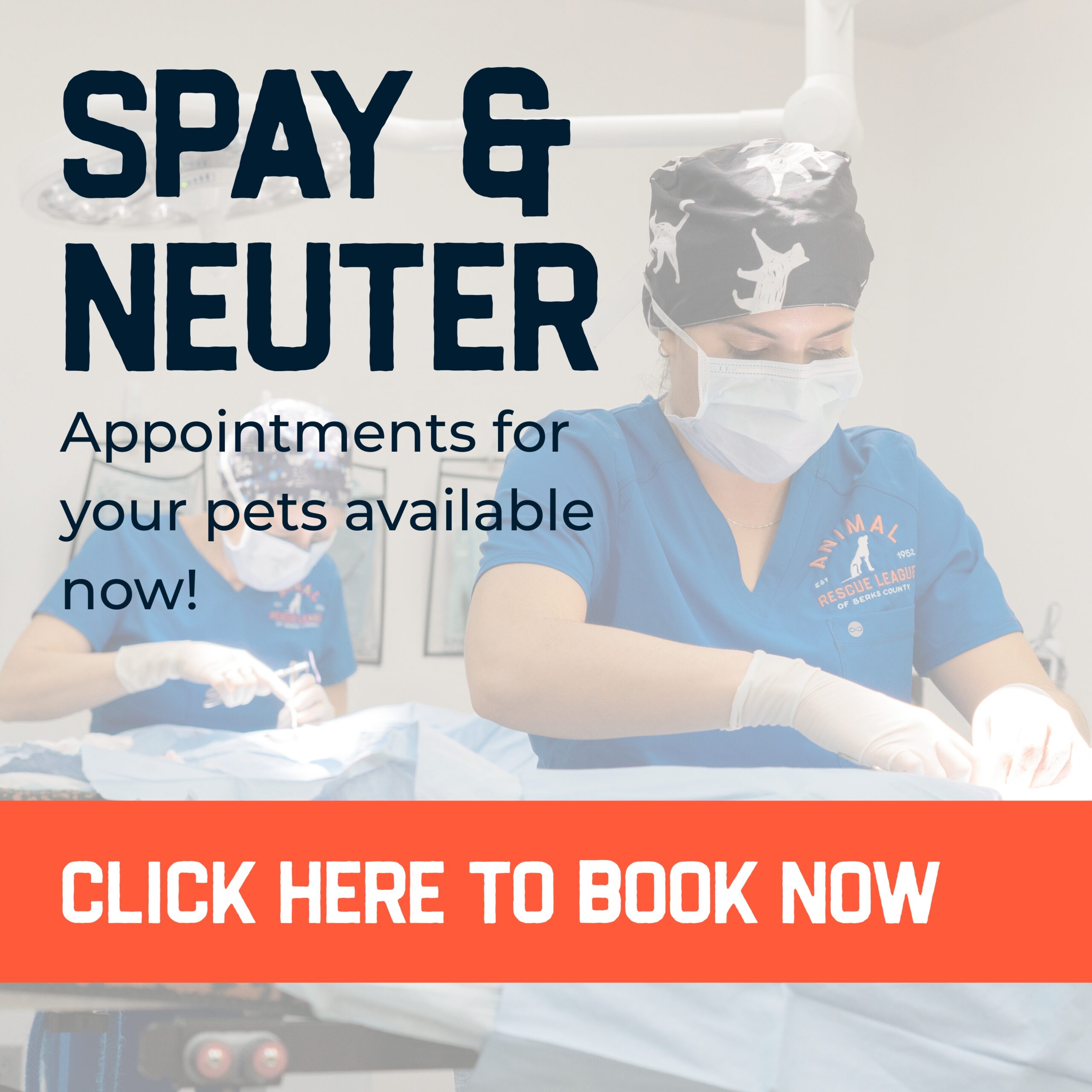 Spay/Neuter Appointments Now Booking