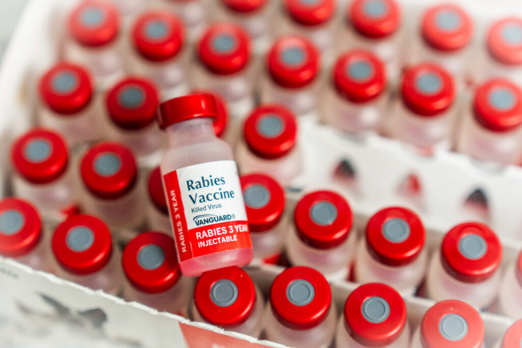 Rabies Cases in Berks County: How to Protect your Pets  