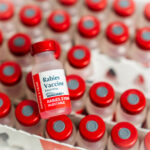 Rabies Cases in Berks County: How to Protect your Pets  