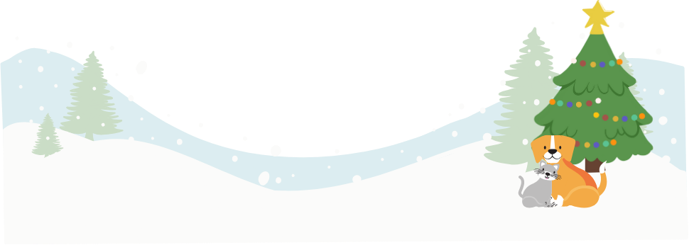 Home for the Holidays Social Post (1)