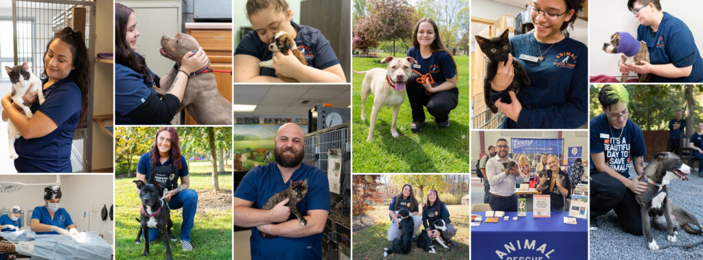 career page cover photo