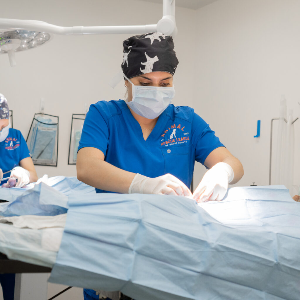 ARL Announces Nomination for the 2025 Snippy Awards