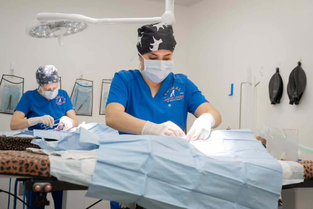 ARL Announces Nomination for the 2025 Snippy Awards