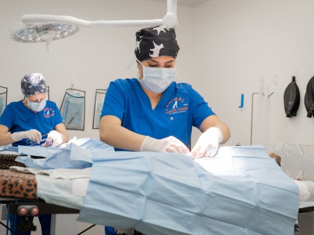 ARL Announces Nomination for the 2025 Snippy Awards