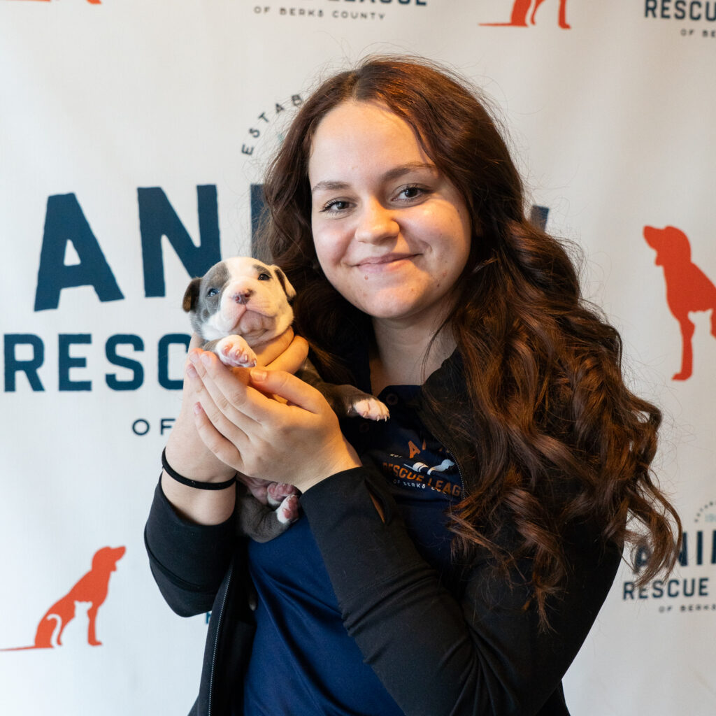 Ellamay Cassidy, foster puppy