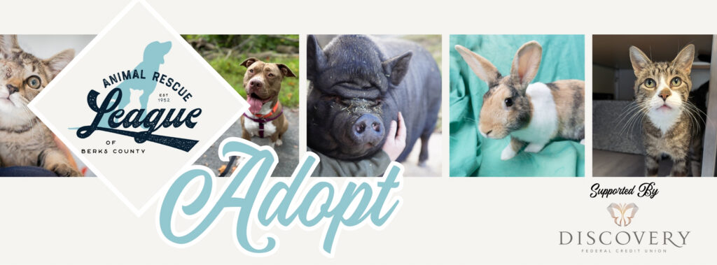Adopt Banner – Discovery FCU