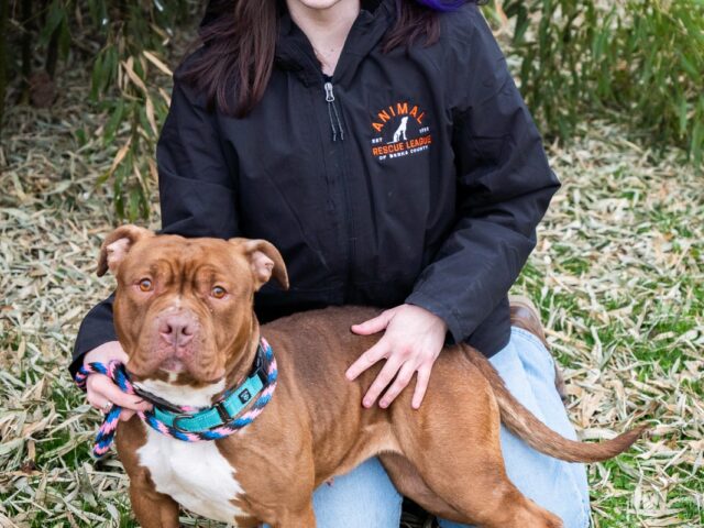 Staff Spotlight: Alexi N.