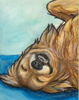 Finley - Pet Portrait Contest Winner - Berks ARL