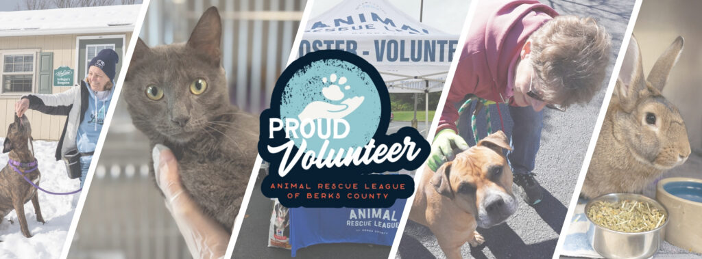 volunteer banner
