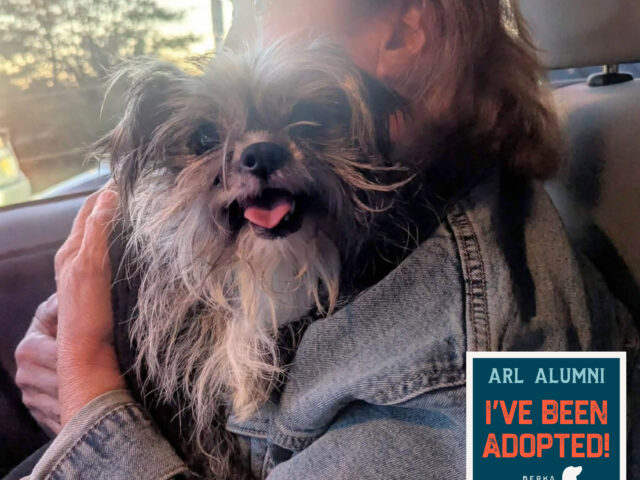 ARL Alumni: Nellie Bean