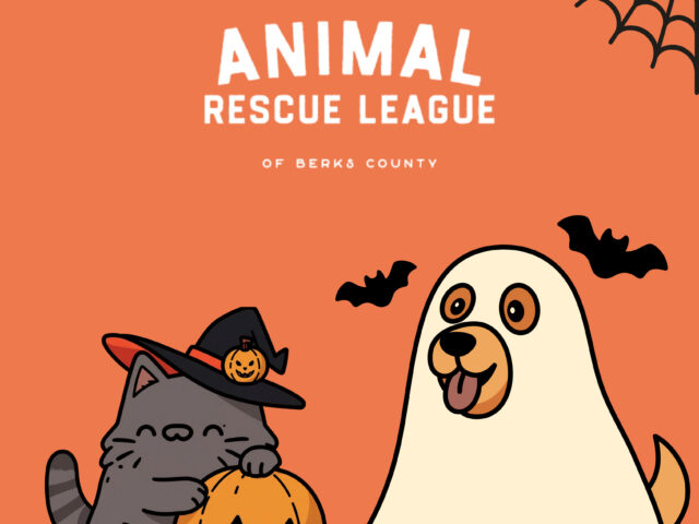 No Tricks, Just Treats: Pet Safety Tips for Halloween